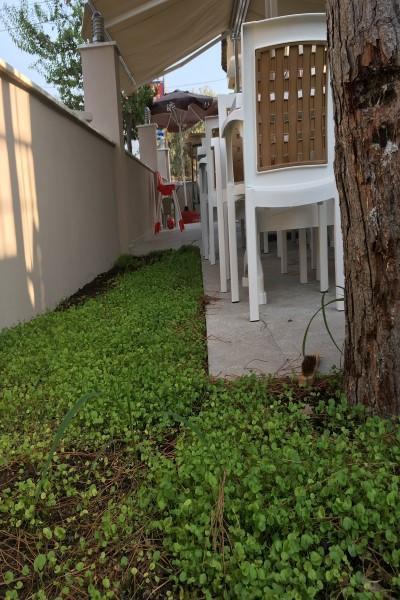 Vira Hotel Dalyan Eksteriør billede